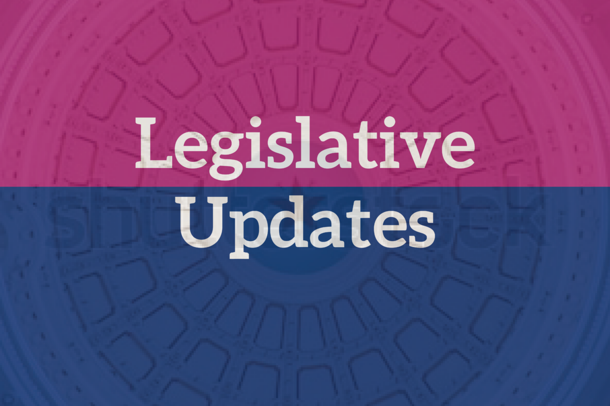 Descubre las Claves del Senado: Funciones que Impactan tu Vida diaria.- 2025